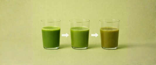 Comment conserver le matcha quand on le consomme en capsule