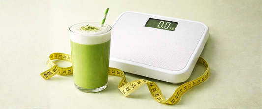 Matcha et perte de poids : est-ce que le matcha aide vraiment à maigrir ?