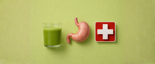 Matcha et digestion : est-ce que le matcha est bon pour l’estomac ?