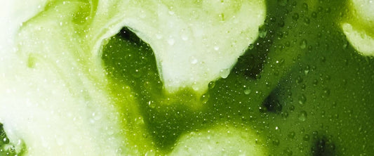 Matcha en capsule : avis honnête (goût, efficacité, est-ce que ça vaut le coup ?)