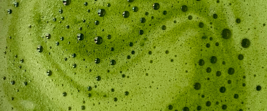 Matcha en capsule : le guide complet (goût, bienfaits, machine, avis)