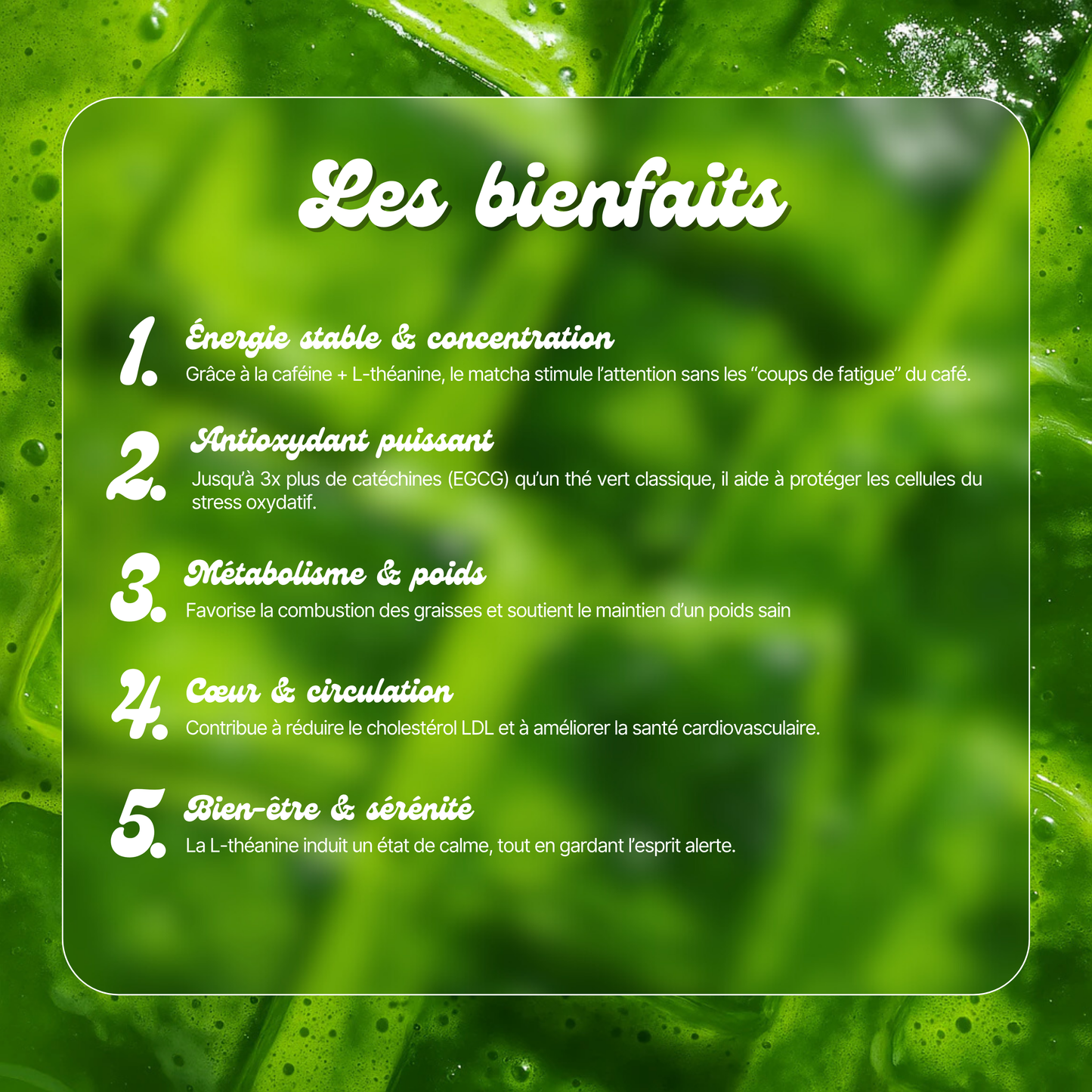 Pack 30 capsules matcha & 1 verre