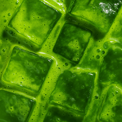 Matcha Citron – 30 Capsules Nespresso®